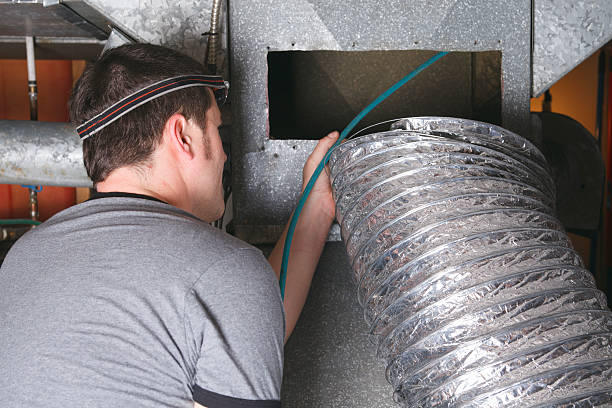 Air Duct Mold Removal in HI