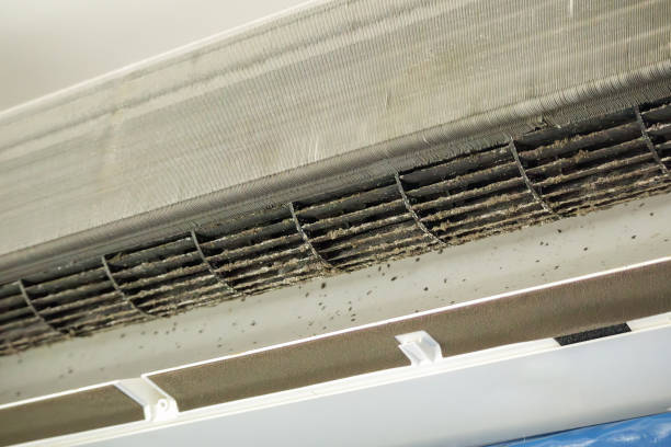  Ckam Housing, HI Airduct Cleaning Pros